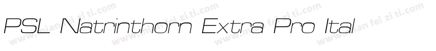 PSL Natrinthorn Extra Pro Italic字体转换